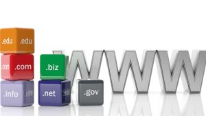 domain extensions listed including .com, .edu, and .gov