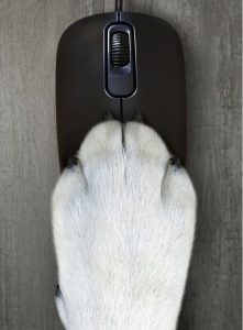 Picture of Traci Frees