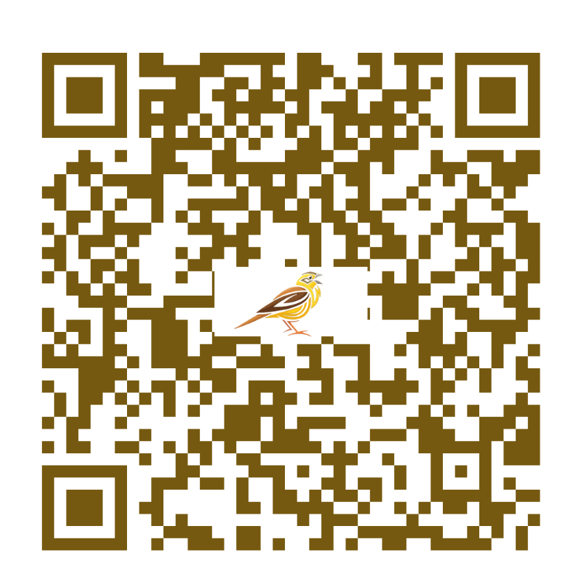 QR code to purchase additional DirecTV Geminis from YellowHammer IT, LLC, software as a service